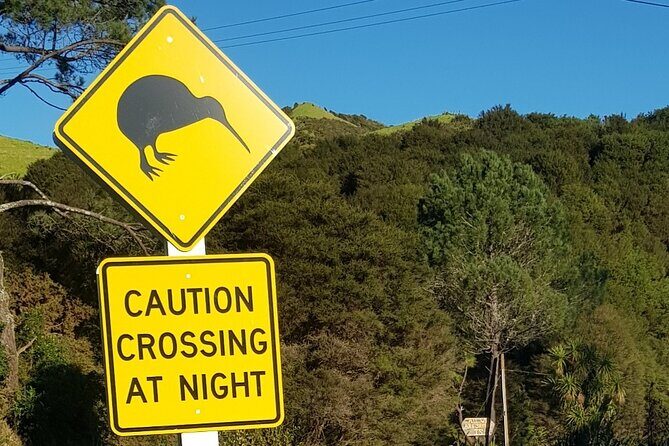 Waiheke Island Private Tours - Deep Dive into the Itinerary and Experience