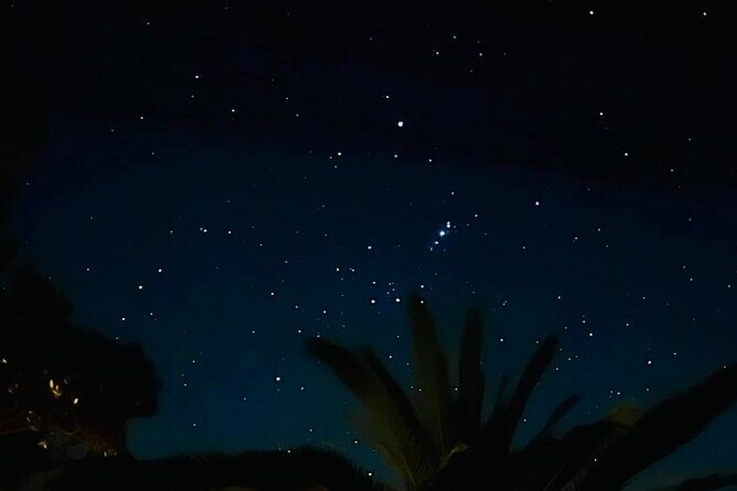 Waiheke Private Stargazing Tour Night Walk - Who Will Love This Experience?