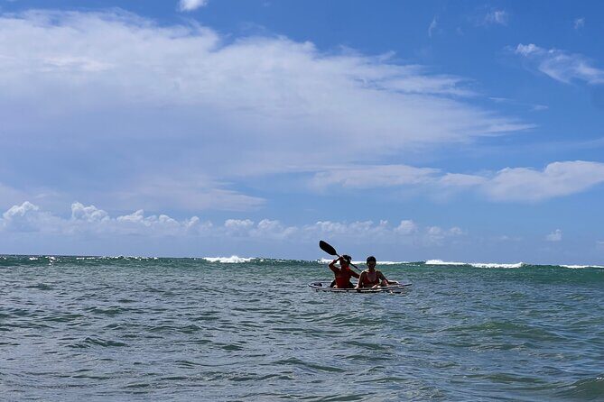 Waikk Fireworks Night Paddle Clear Kayak Tour (Fridays Only) - The Equipment and Safety