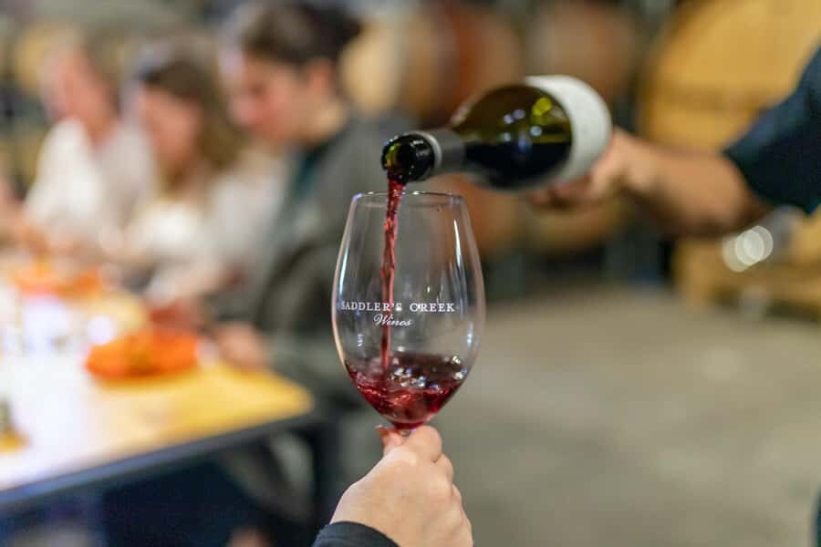 Wallabies and Wine Hunter Valley Adventure Private Tour - Why This Tour Works Well