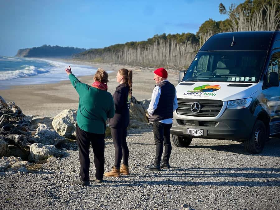 Wanaka to Franz Josef Small Group 1 Way Tour with Lunch - What Makes This Tour Stand Out?