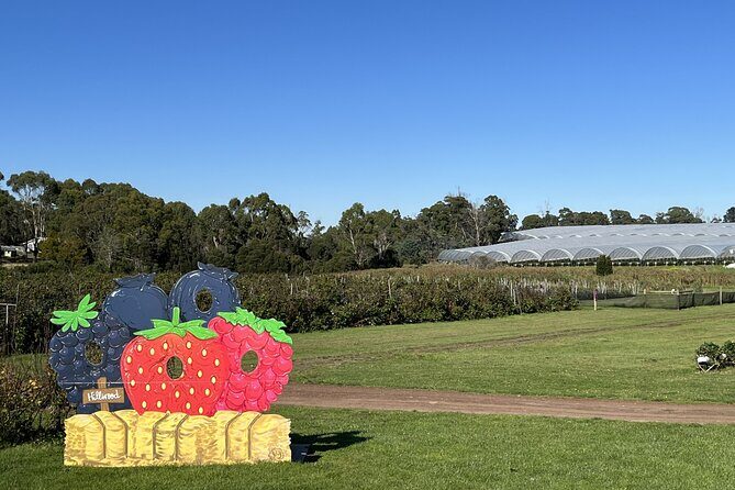 Wander the Tamar Valley - Pricing and Value Analysis