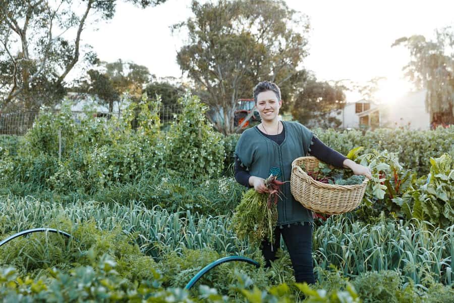 Watervale: Penobscot Farm Tour with Chef and 5-Course Lunch - Why This Tour Works