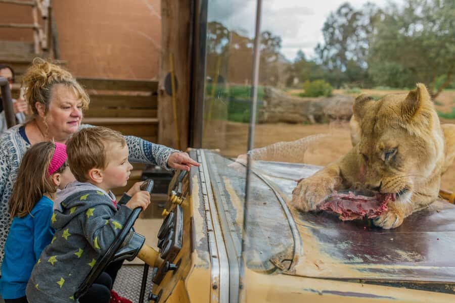 Werribee Open Range Zoo: Entry Ticket - Authentic Experiences & Authentic Reviews