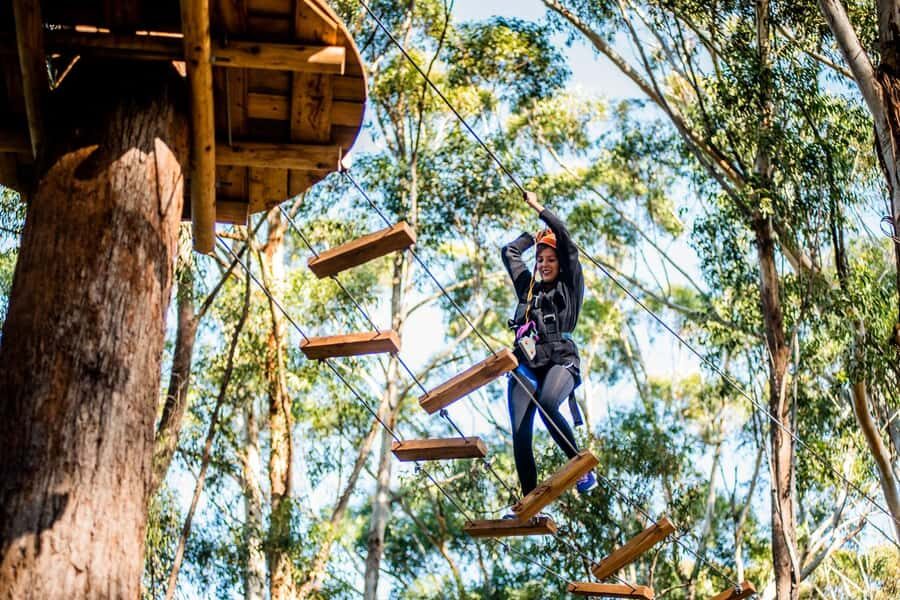 Western Sydney: Tree Ropes Courses - Who Would Love This?