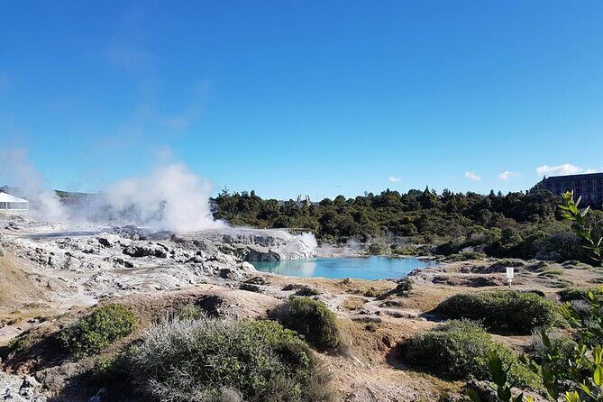 Whakarewarewa Mori Village & Geothermal - Beyond the Stops: Overall Value and Experience