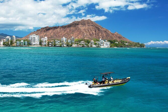 Whale Watching Adventure -Speed Boat & Small Group - The Itinerary and What to Expect