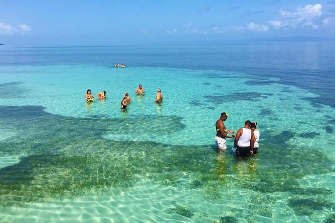 Whales Watching Half Day Experience - Transportation, Timing, and Group Size