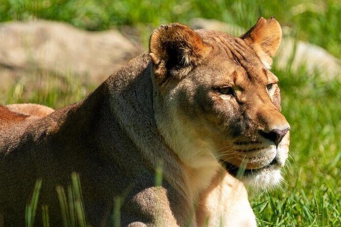 Wilder Institute/Calgary Zoo: Entry Ticket - Practical Tips for Visitors