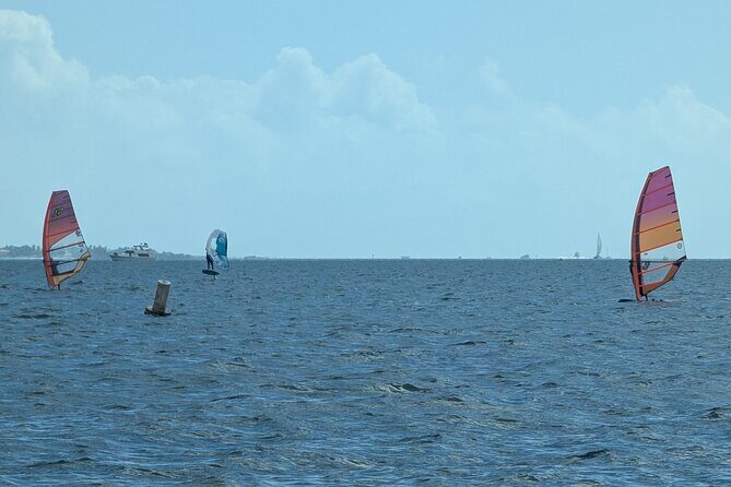 Windsurfing Adventure at Hobie Beach Miami - The Sum Up