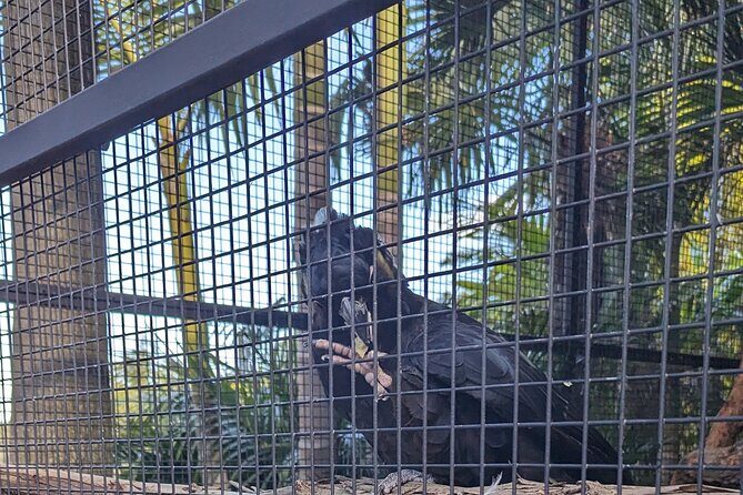 Wollongong Sightseeing Guided Day Tour - Exploring the Itinerary in Detail