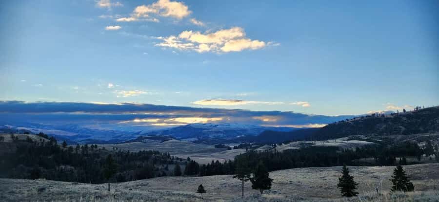 Yellowstone: Wildlife Tour with Coffee and Photos - Who Is This Tour Best For?