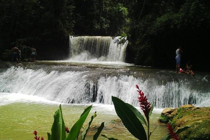 YS Falls and Sightseeing Tour Day Adventure - Who Should Consider This Tour?