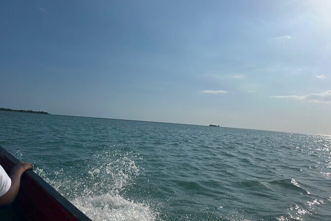 YS Falls and Zipline with Floyds Pelican Bar Full Day Tour - The Sum Up: Who Should Book This Tour?