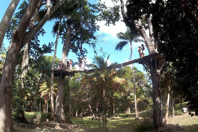 Zip Line over the Dunns River Falls - Practical Details to Keep in Mind