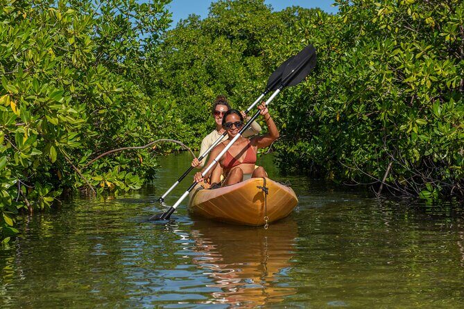 1 Hour Mangrove Kayak Tour - Who Should Consider This Tour?