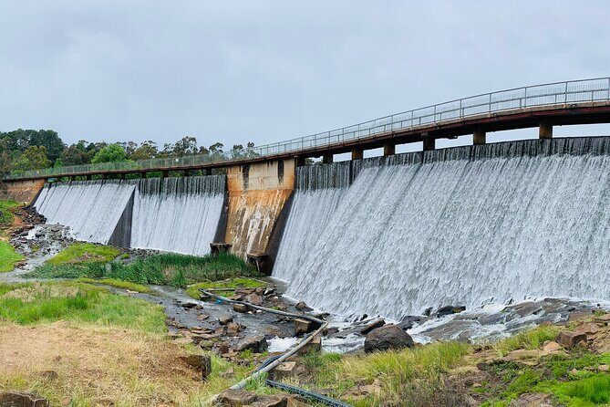 1 Hour Trike Tour for 2 in Mount and Lake Canobolas - Authentic Experiences and Reviews