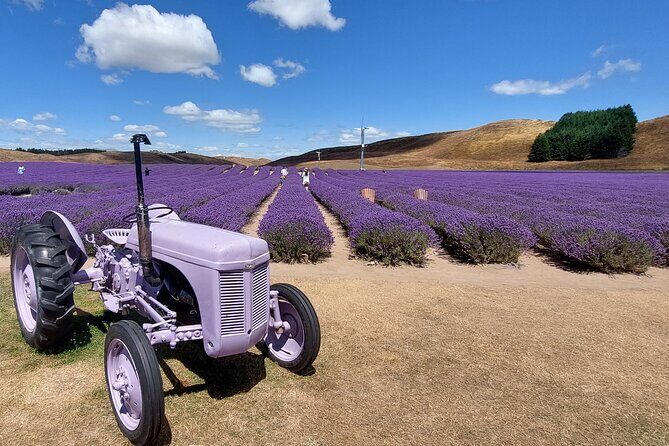 12 Day New Zealand Private Tour from Auckland to Queenstown - Why This Tour Offers Great Value