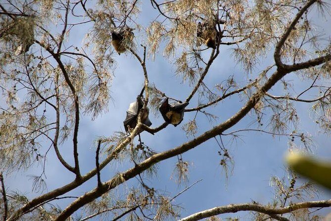 3-Hour Tongatapu West Coast Scenic Tour - The Sum Up