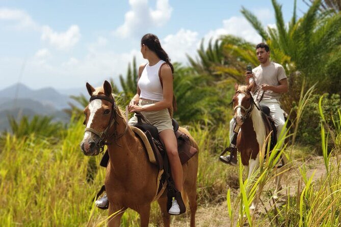 3 Hours Horseback Riding from Nature Trails to Sofa Stone - Riding Conditions and Suitability