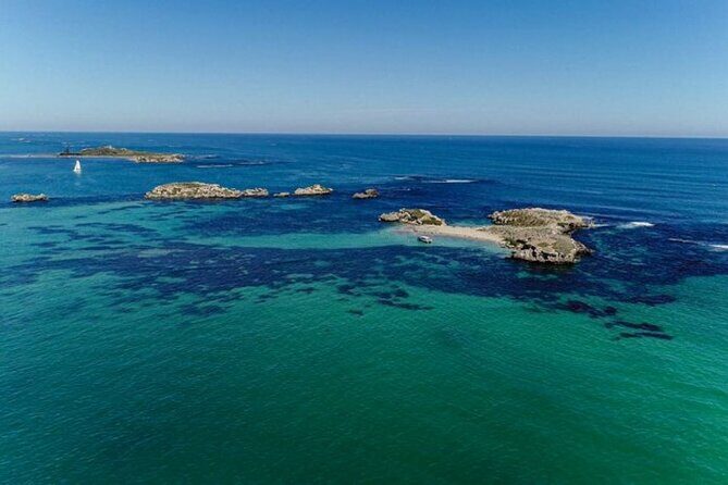 3 Island Wildlife Snorkel - Who Should Consider This Tour?