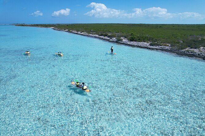 3hr Clear Kayak Tour of Mangroves, Marine Life and Iguanas - Analyzing the Value: Is It Worth It?