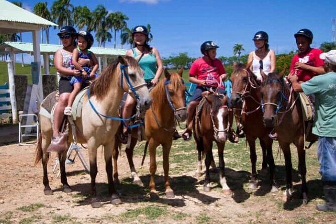 8-Hour Tour Enjoying the Dominican Culture Through the Countryside - How the Tour Is Structured and What It Means for You