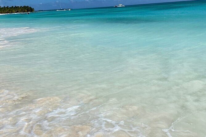 A Magical Day on Saona Island - What the Reviews Say