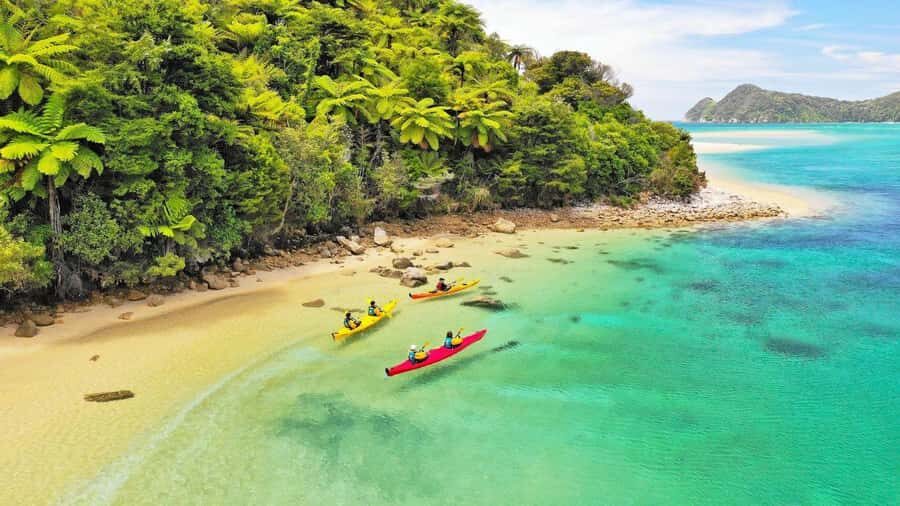 Abel Tasman National Park: Cruise, Kayak, & Hike Tour - Who Will Love This Tour?