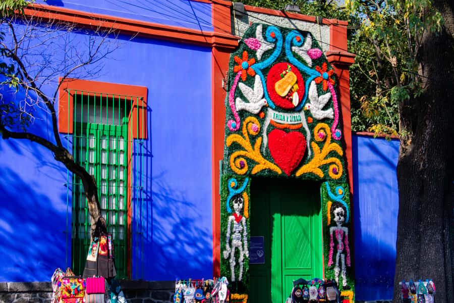 Access to the Frida Kahlo Museum or Casa Kahlo Museum with a Digital Guide - The Experience Itself: Atmosphere and Insights