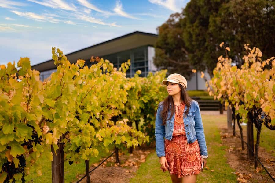 Adelaide: Barossa and Adelaide Hills Tour with Lunch - Jacobs Creek Visitor Centre: A Classic Introduction