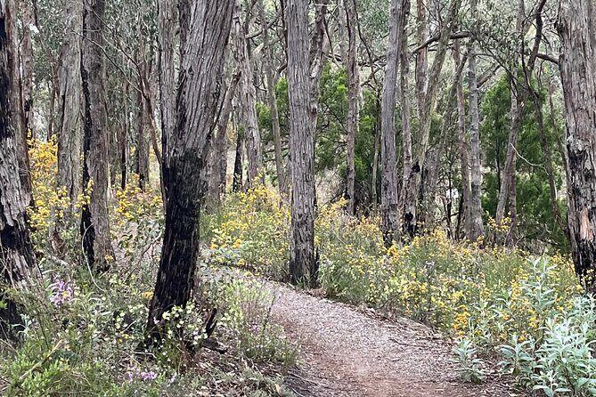 Adelaide Hills Nature Highlights Self-Guided e-Bike Tour - FAQ