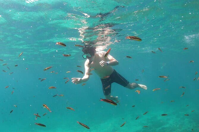 Adventure in Zihua - Who Should Consider This Tour?