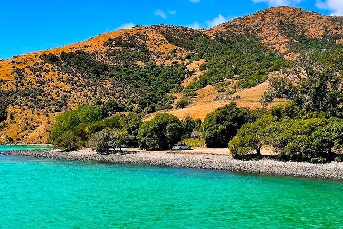 Akaroa Private Day Trip From Christchurch - Why This Tour Offers Great Value