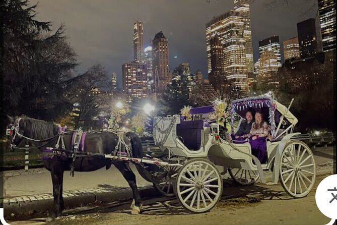 Amazing Horse and Carriage Rockefeller and Christmas lights tour - Who Will Love This Tour?