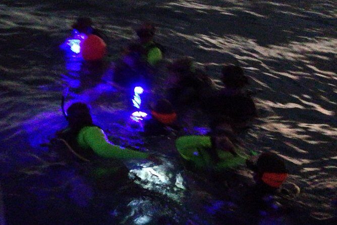 Aruba 1-Tank guided UV Night Dive for certified divers with rental equipment - What to Expect on Your Fluorescent Night Dive