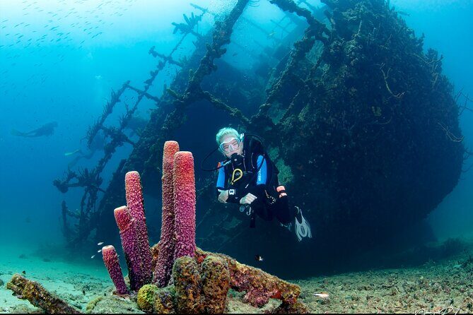 Aruba Guided Night Dive Adventure: Shallow Reefs or Shipwrecks - Frequently Asked Questions