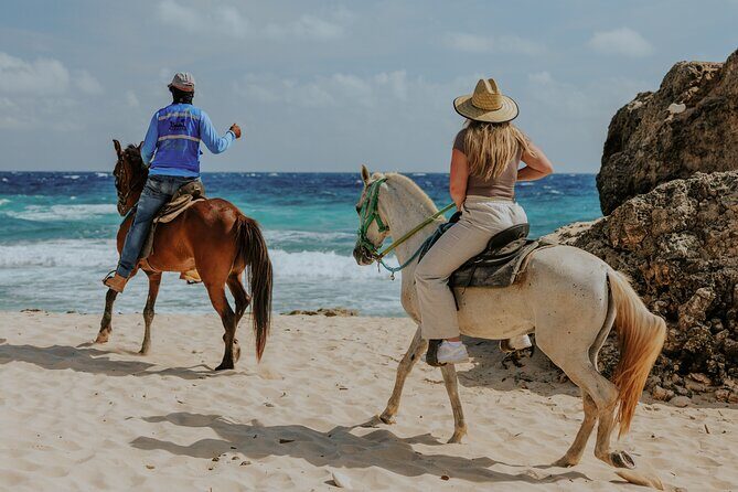 Aruba North Coastline: Small-Group Horseback Riding Tour - Why You Should Consider This Horseback Tour