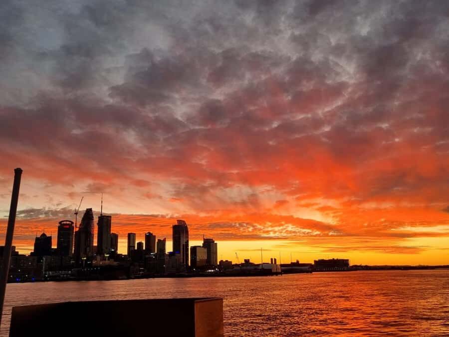 Auckland: Nightlights Harbour Cruise with Canapés and Drink - The Scenic Cruise