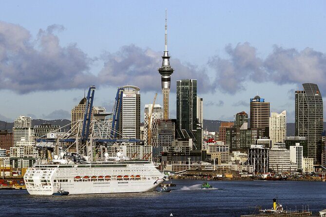 Auckland Private City Highlights Tour 5hrs Sightseeing Experience - Authentic Feedback and What to Expect