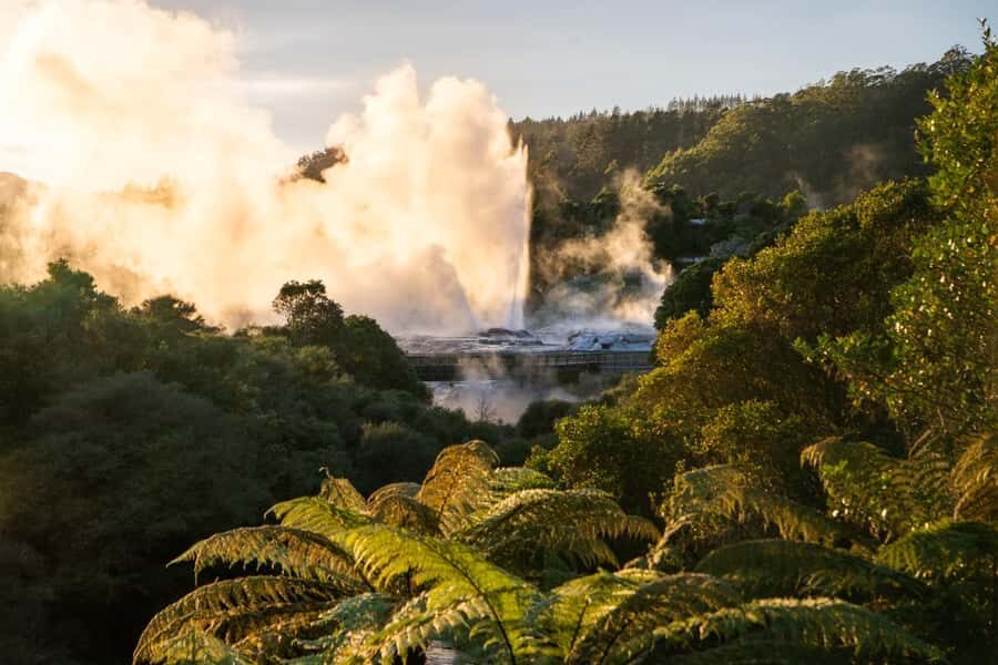 Auckland: Rotorua Highlights inc Wai O Tapu & Te Puia Tour - What You Can Expect from the Itinerary