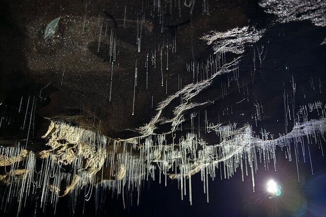 Auckland : Waitomo Spellbound Glow Worm Twin Caves Private Tour - Who Is This Tour Best For?