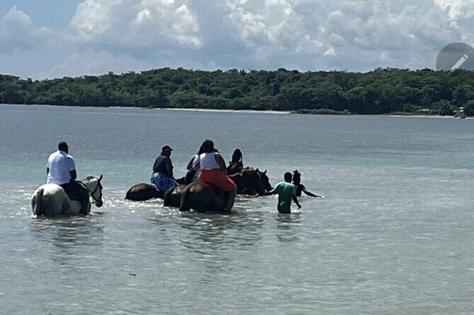 Bamboo Rafting and HorseBack Riding Excursion in OchoRios Jamaica - The Sum Up