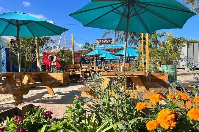 Barbados Shore Excursion: Wildlife Encounter and Beach Day - The Reviews: Honest Perspectives