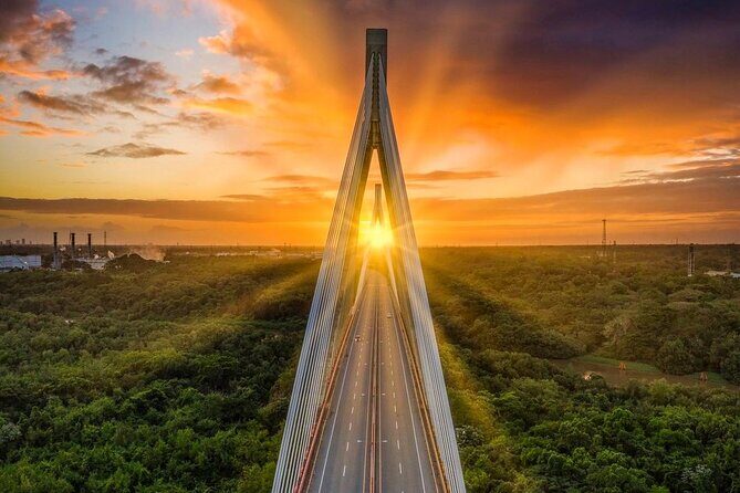 Barceló Bávaro Palace - Round Trip Shuttle - Punta Cana Airport - Why You’ll Appreciate the Service