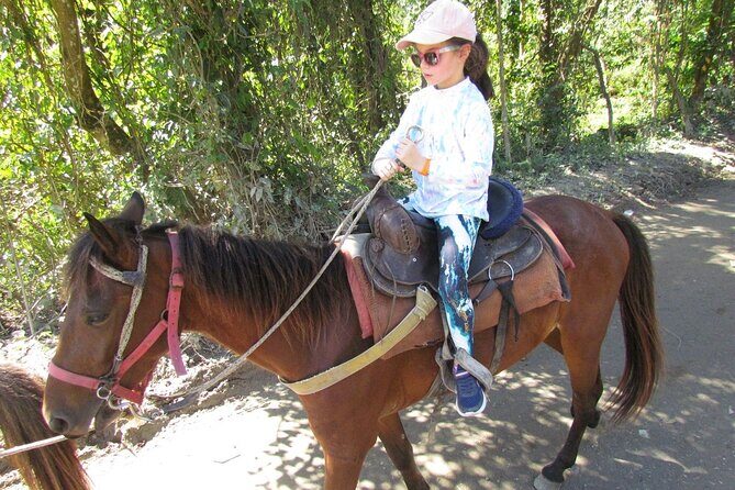 Beach Horseback Ride Tour in Puerto Plata - Scenic & Fun for All - Authentic Experiences and Real Feedback