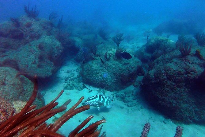 Beginner Scuba Diving with Turtles and Videos, San Juan - The Itinerary: What to Expect Step-by-Step