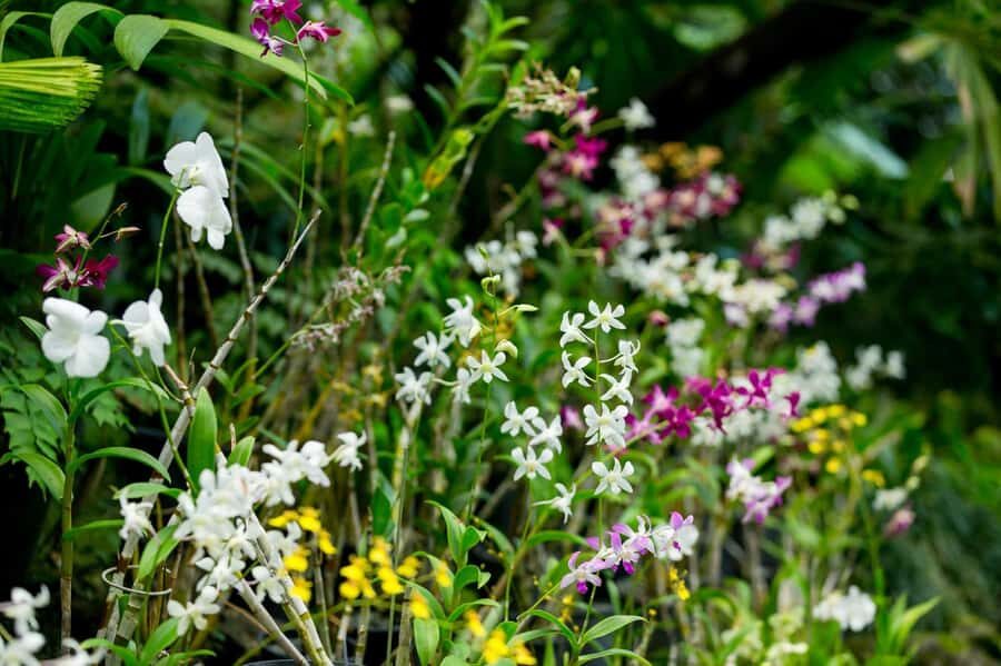 Best of Nadi Highlights - Exploring the Itinerary in Detail