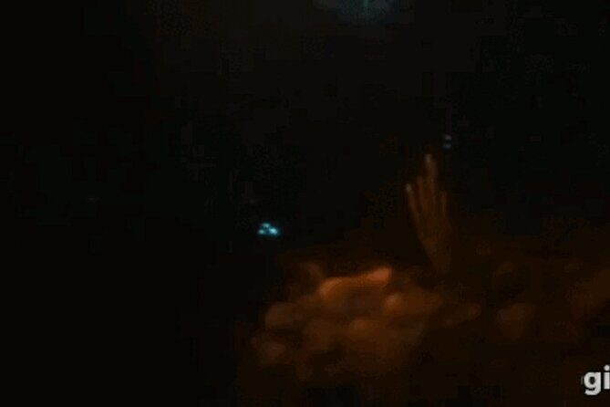 Bioluminescent Night Snorkeling - The Experience in Detail