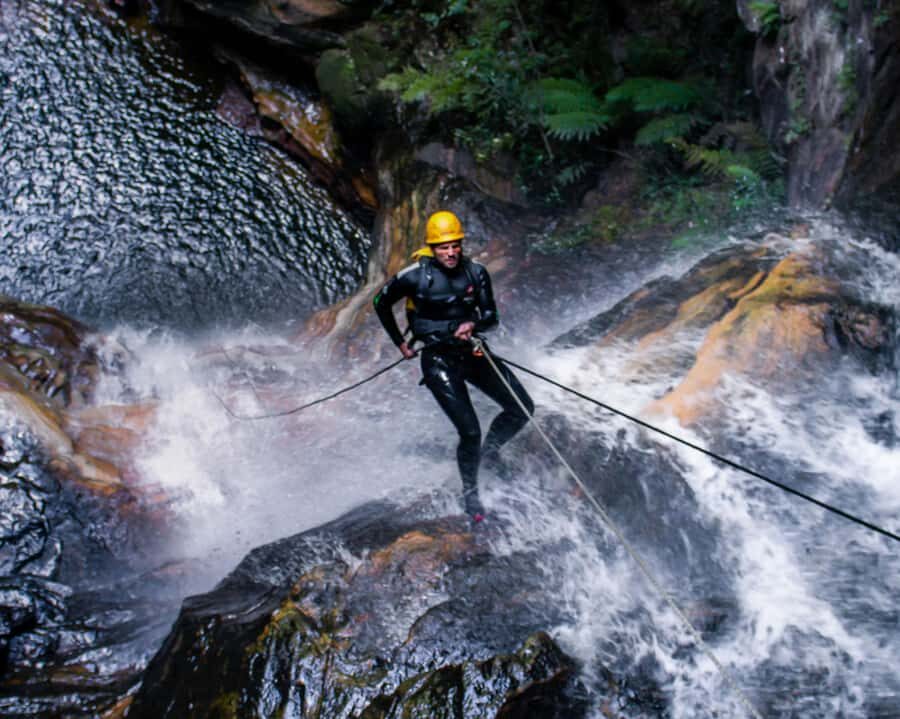Blue Mountains: Abseiling and Canyoning Experience - Who Will Love This Tour?